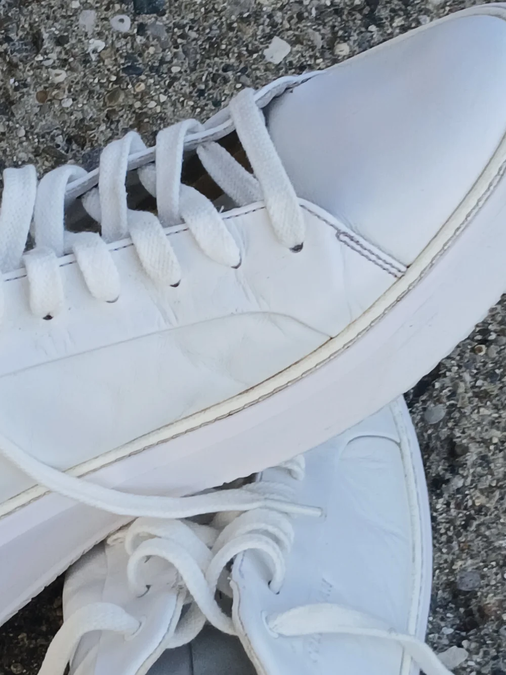 Size 14 Cole Haan Men's White Low-Top Lace-Up Sneakers